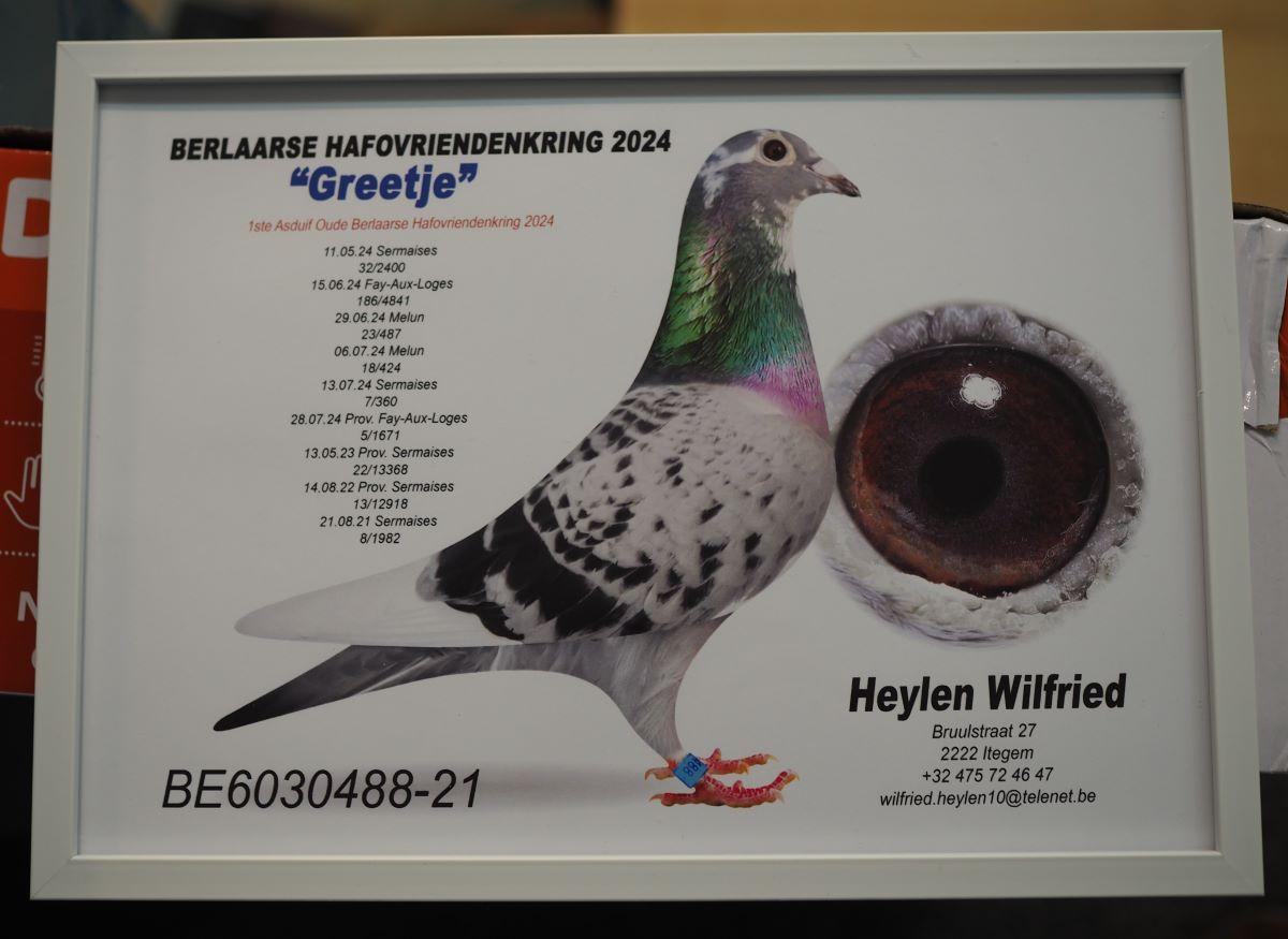 PITTS-Heylen Wilfried-PITTS-BE21-6030488 ‘Greetje' -Foto-1