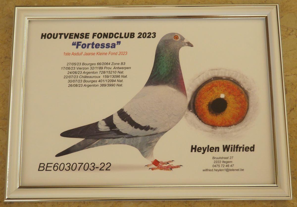 PITTS-Heylen Wilfried-PITTS-BE22-6030703 'Fortessa' -Foto-PITTS