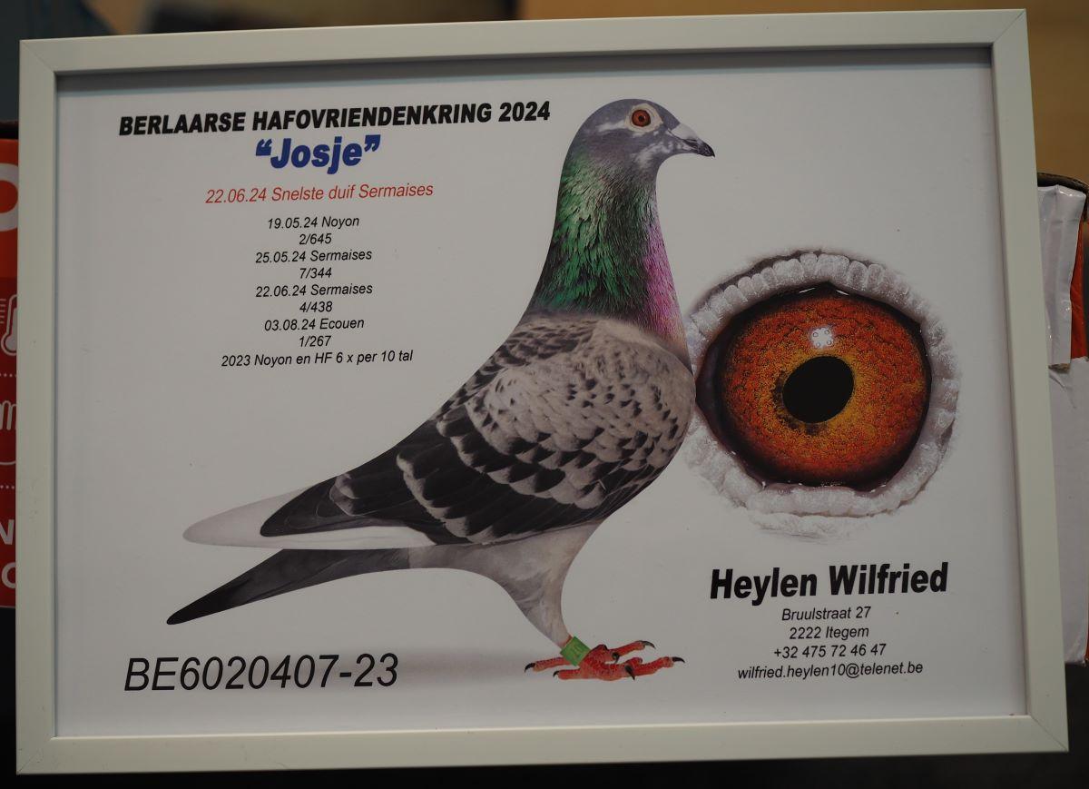 PITTS-Heylen Wilfried-PITTS-BE23-6020407 ‘Josje' -Foto-1