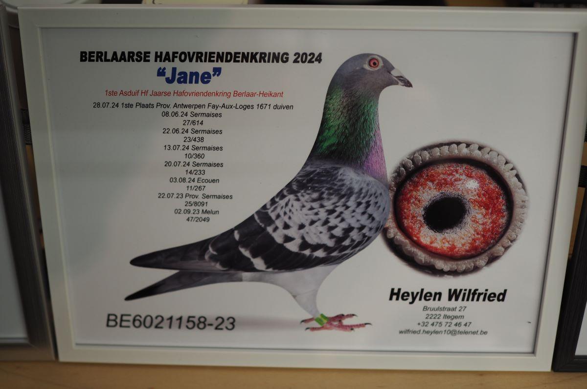 PITTS-Heylen Wilfried-PITTS-BE23-6021158 ‘Jane’ -Foto-1