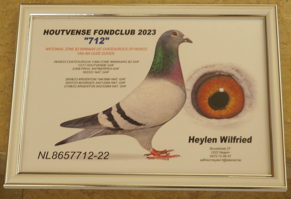 PITTS-Heylen Wilfried-PITTS-NL22-8657712 '712' -Foto-PITTS