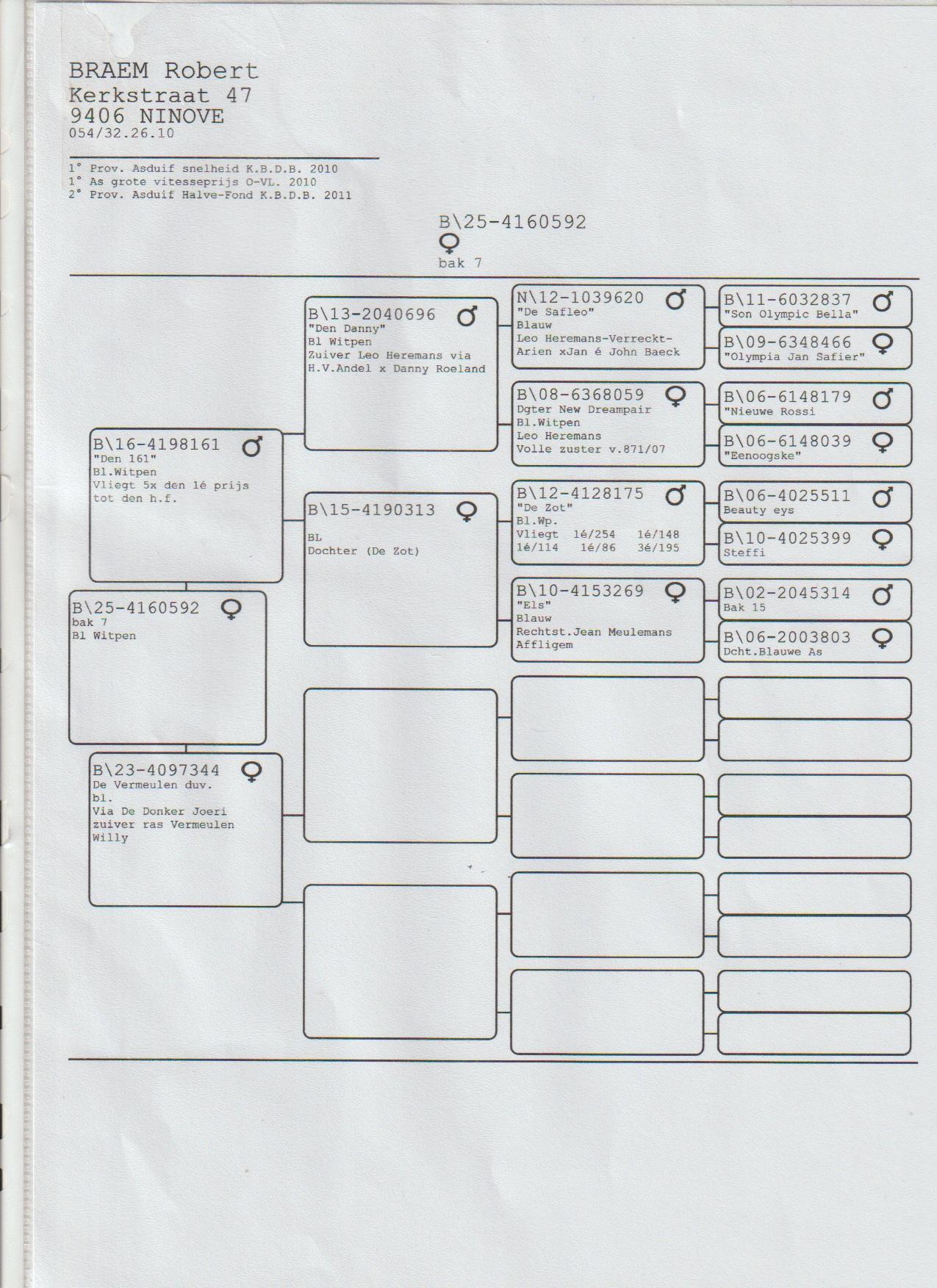pedigree 3- Braem Robert (Outer) schenkt een zomerjong (duivin) 2025 ter plaatse of een jonge duif 2026 op afspraak(2de ronde) 