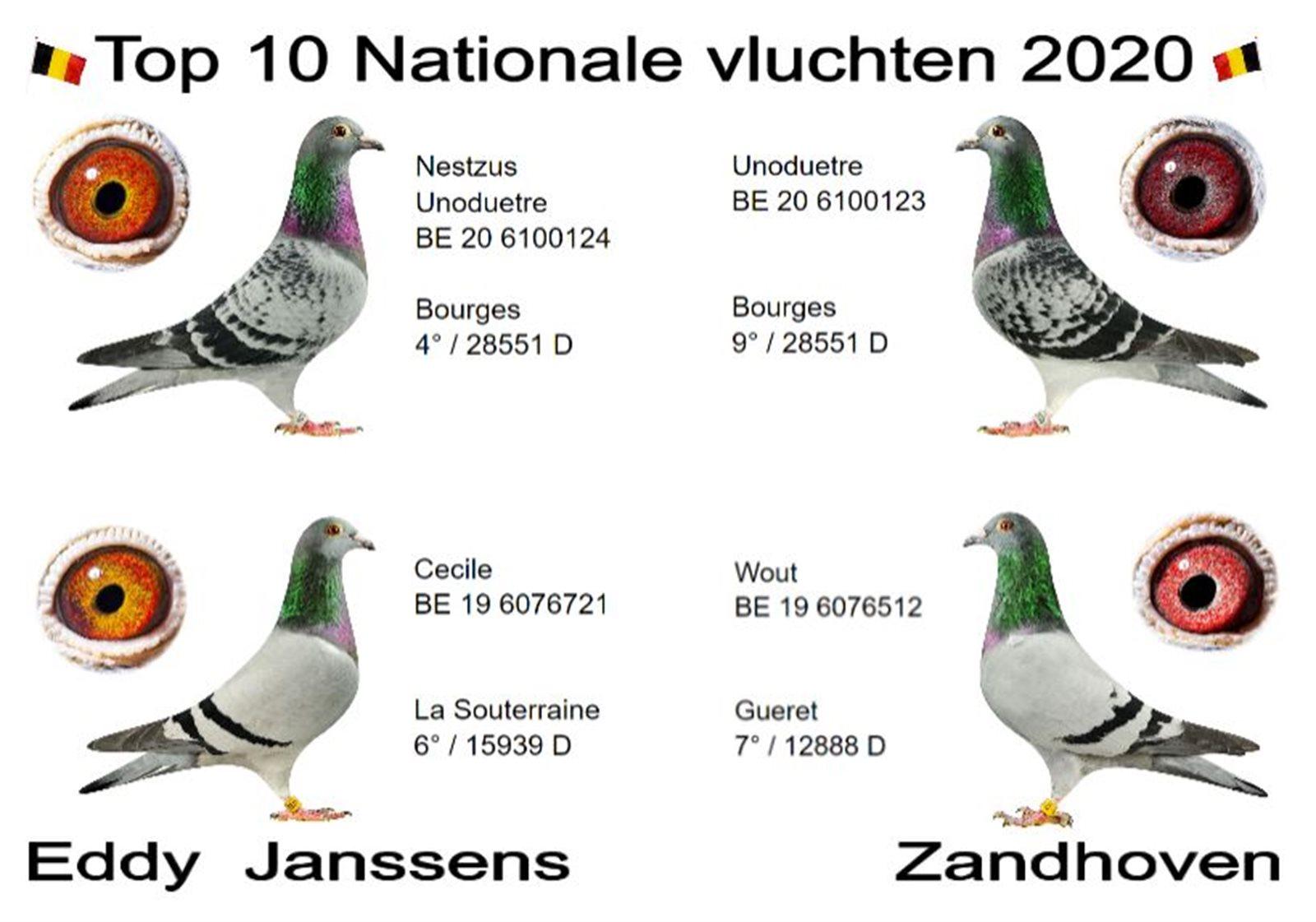 36175-cecile-detaillarge