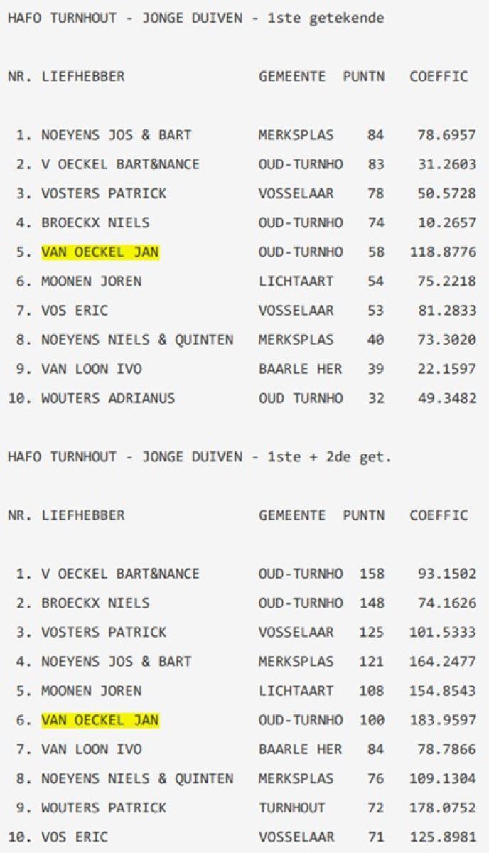 2025 HAFO TURNHOUT Jonge duiven Hafo
