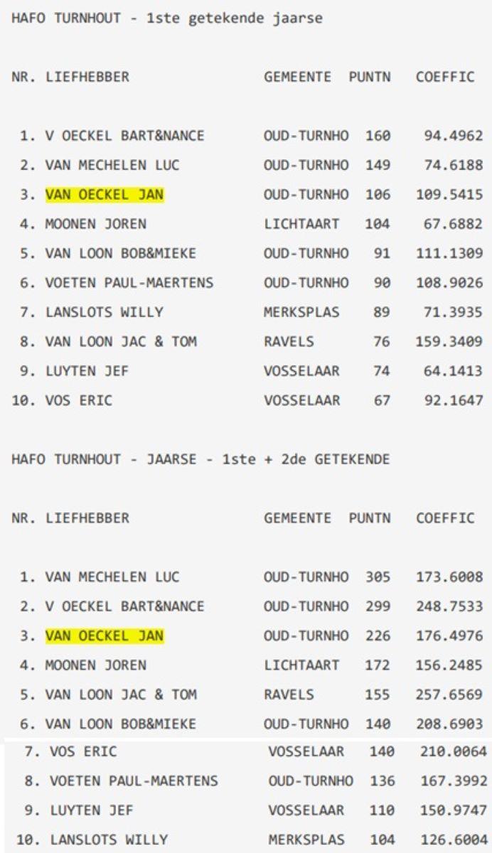 2025 HAFO TURNHOUT Jaarse duiven Hafo