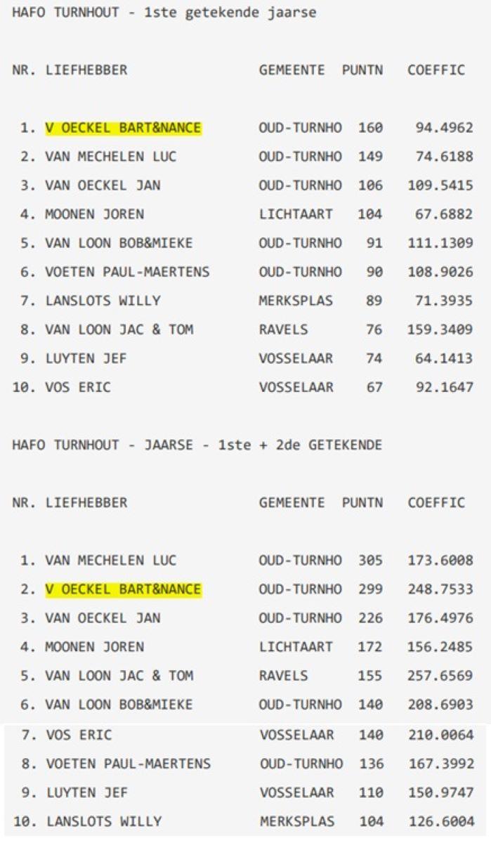 2025 HAFO TURNHOUT Jaarse duiven Hafo