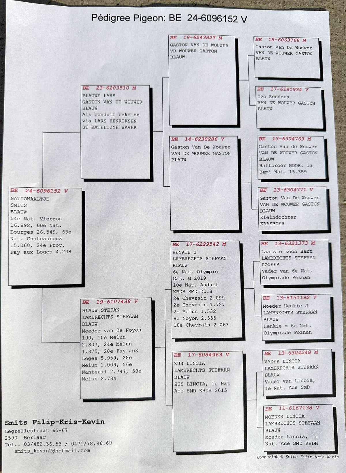 PITTS-SmitsHok-BE24-6096152 'Nationaaltje'-pedigree