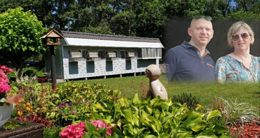 21- Fonteyn Franky-Segers Veronique ((Appelterre ) schenken een jonge duif 2026 op afspraak.