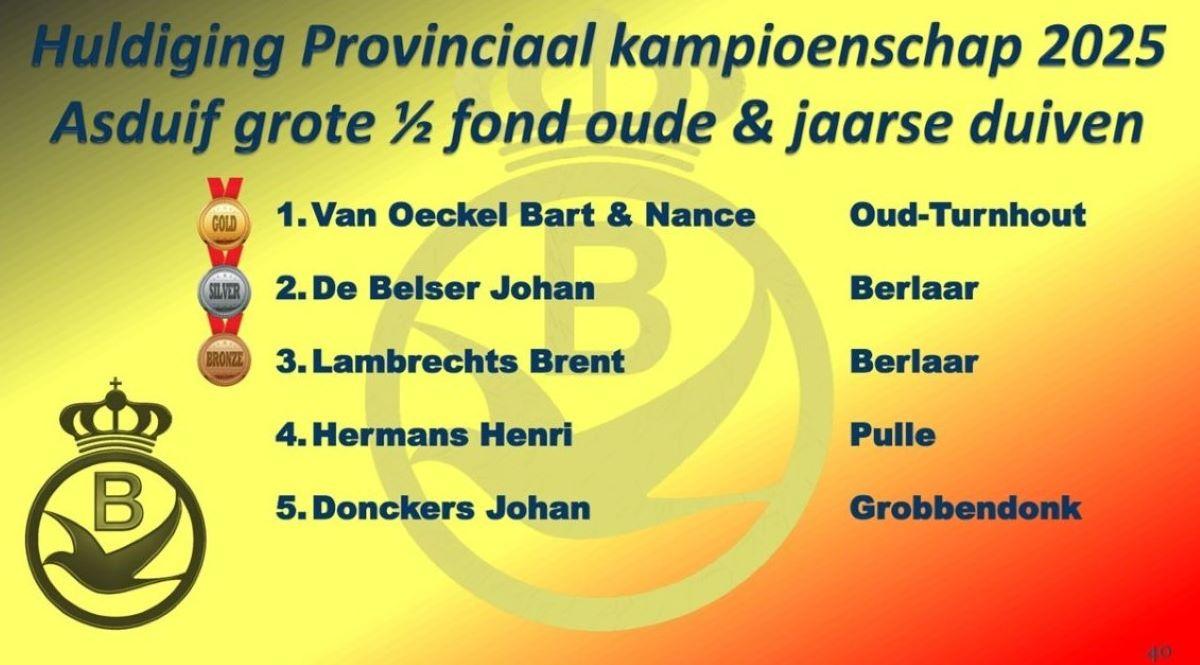 2025 PE ANTWERPEN Provinciale Kampioenenviering-pag-40 (Asduif Grote Hafo oude & jaarse)
