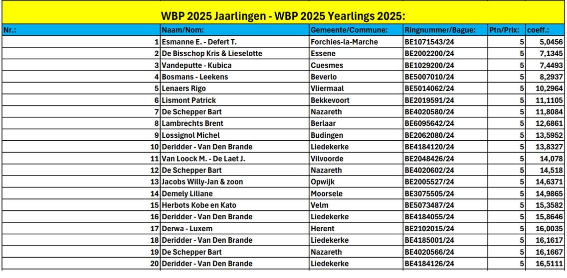 World Best Pigeon 2025 Jaarse duiven