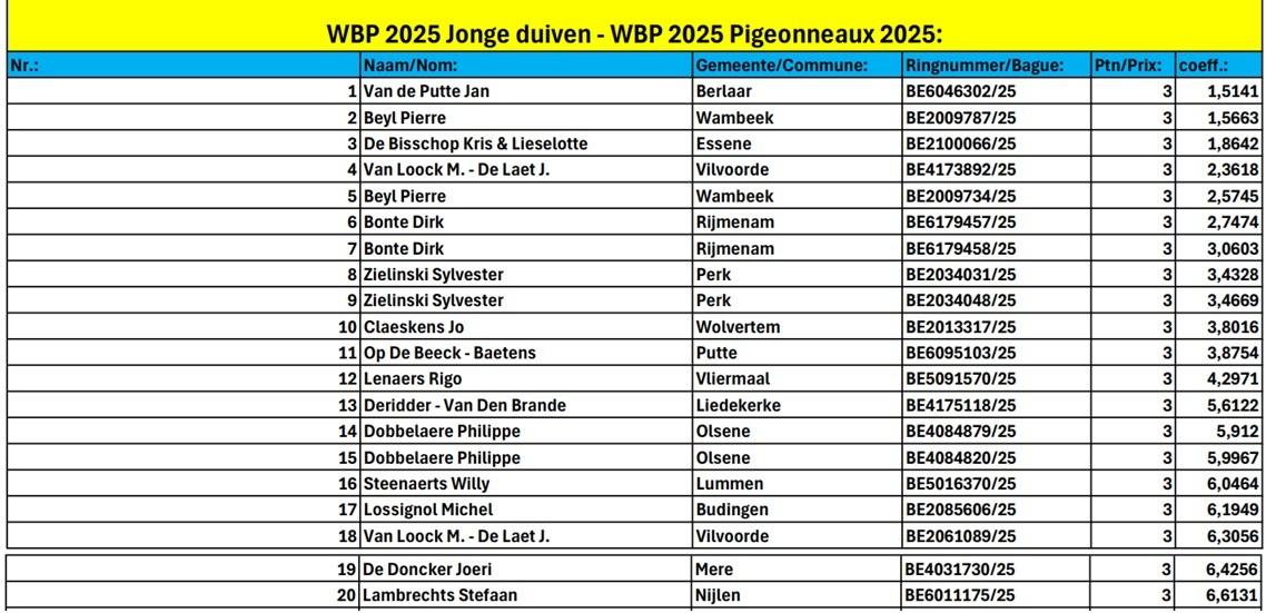 World Best Pigeon 2025 Jonge duiven