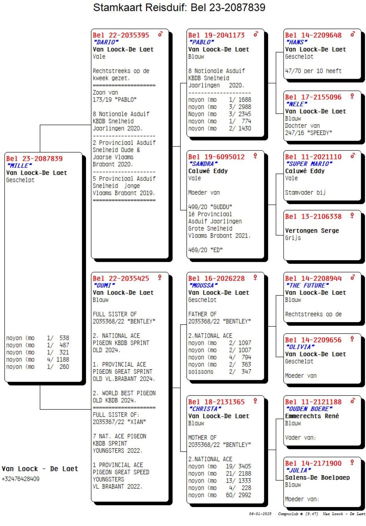 PITTS-VLoockDLaet-PITTS-BE23-2087839 'Mille'-pedigree