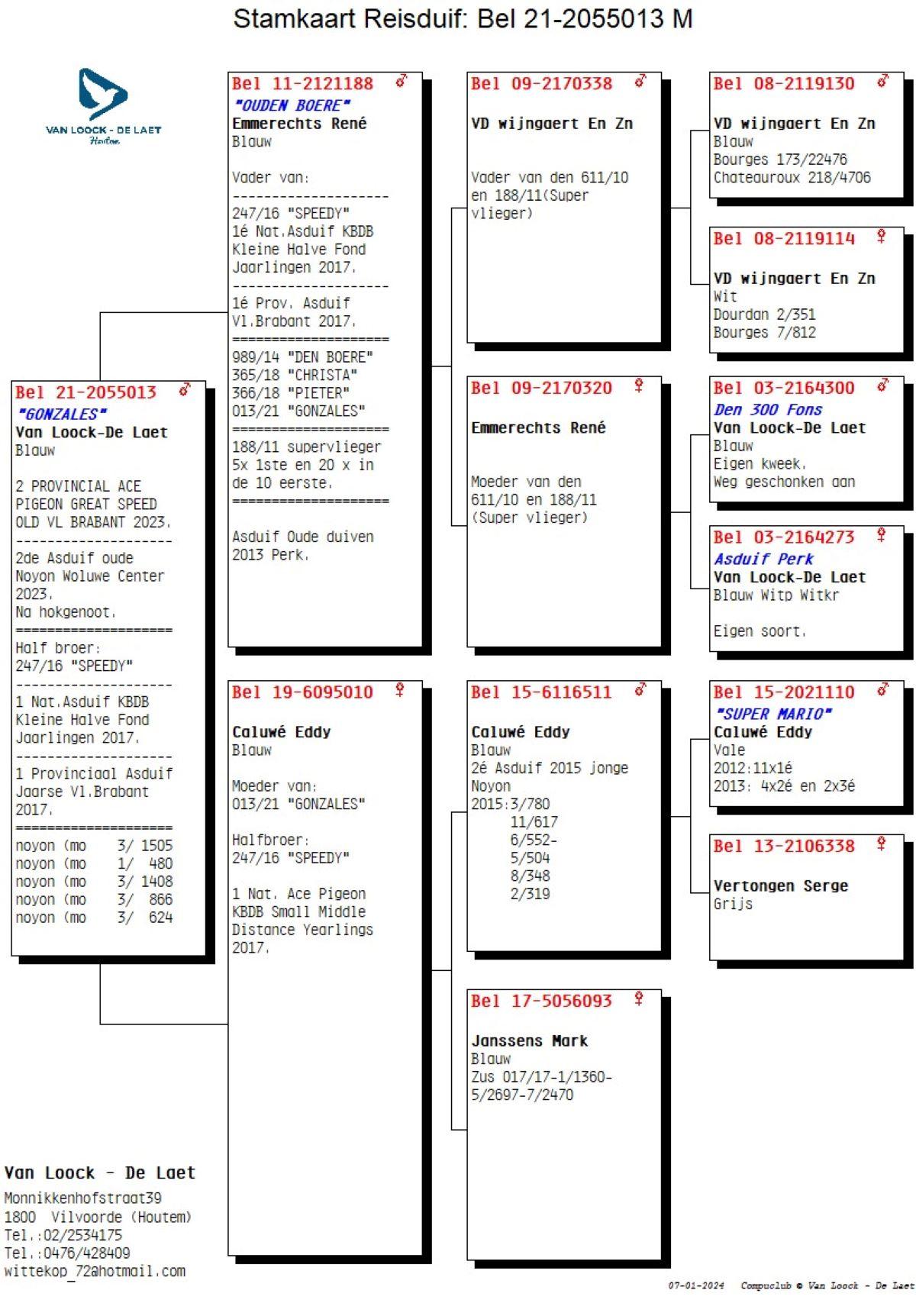 PITTS-VLoockDLaet-PITTS-BE212055013 'Gonzales' -Pedigree-