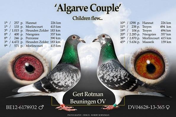 36- Rotman Gert (Beuningen NL ) schenkt een	Zomerjong 2026 op afspraak.