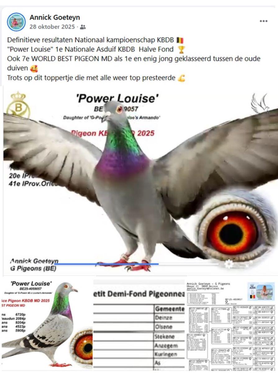 2025-10-28 FB Annick Goeteyn