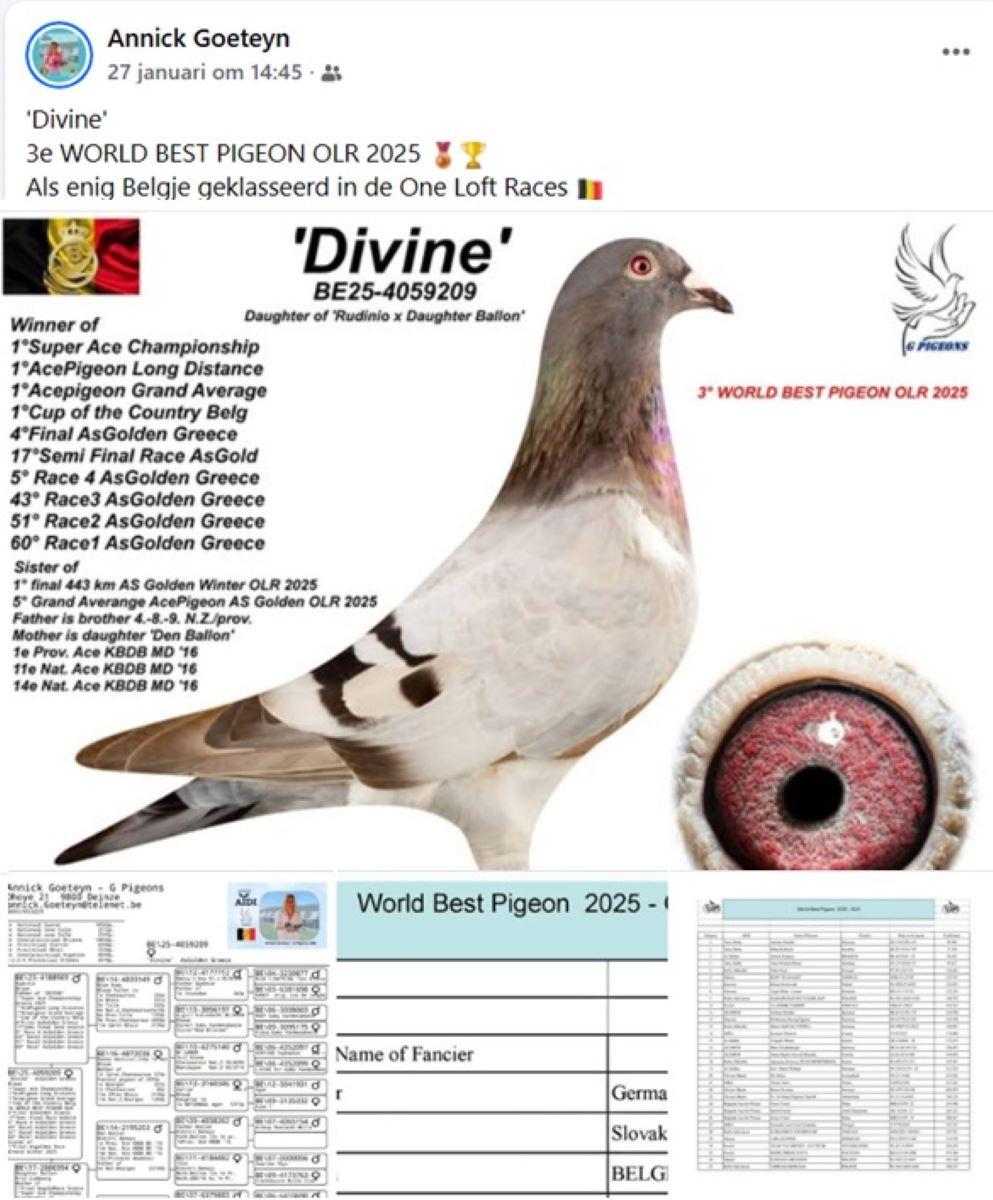 2026-01-27 FB Annick Goeteyn