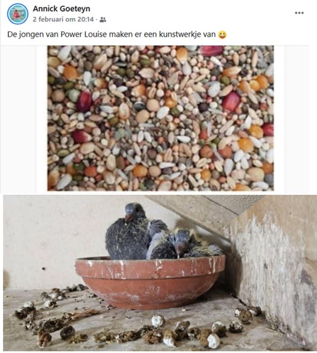 2026-02-02 FB Annick Goeteyn