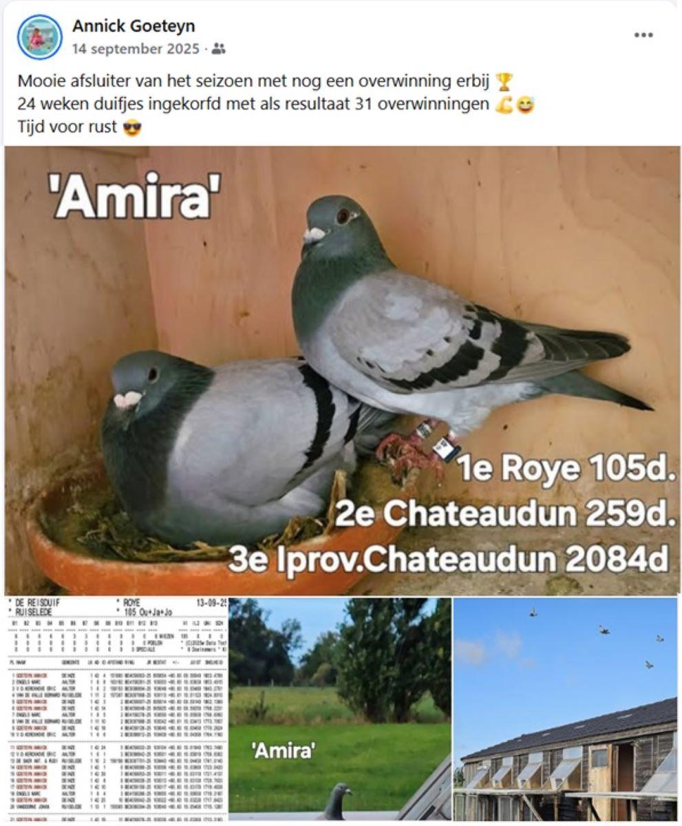 2025-09-14 FB Annick Goeteyn