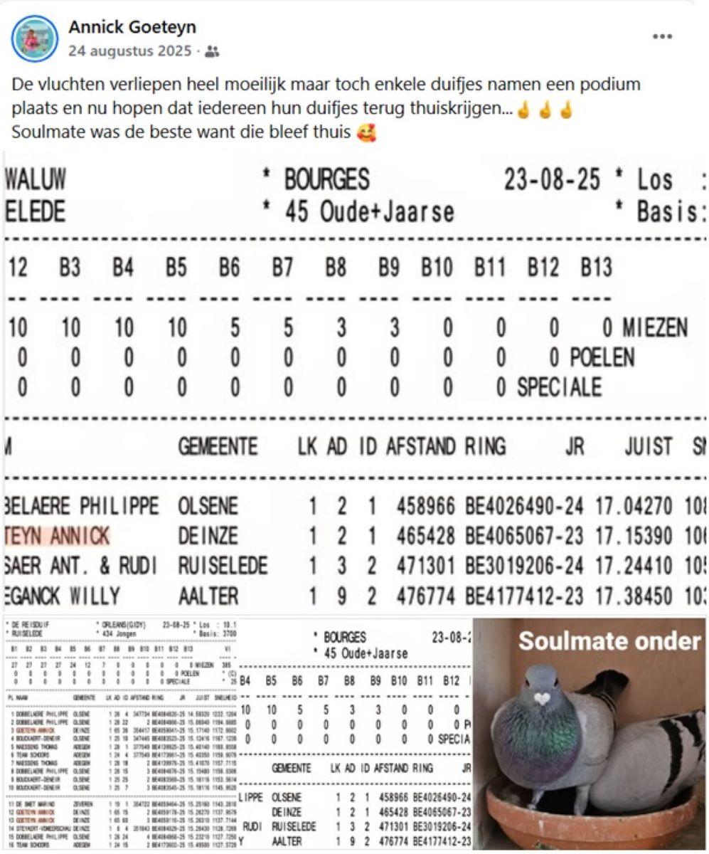 2025-08-24 FB Annick Goeteyn
