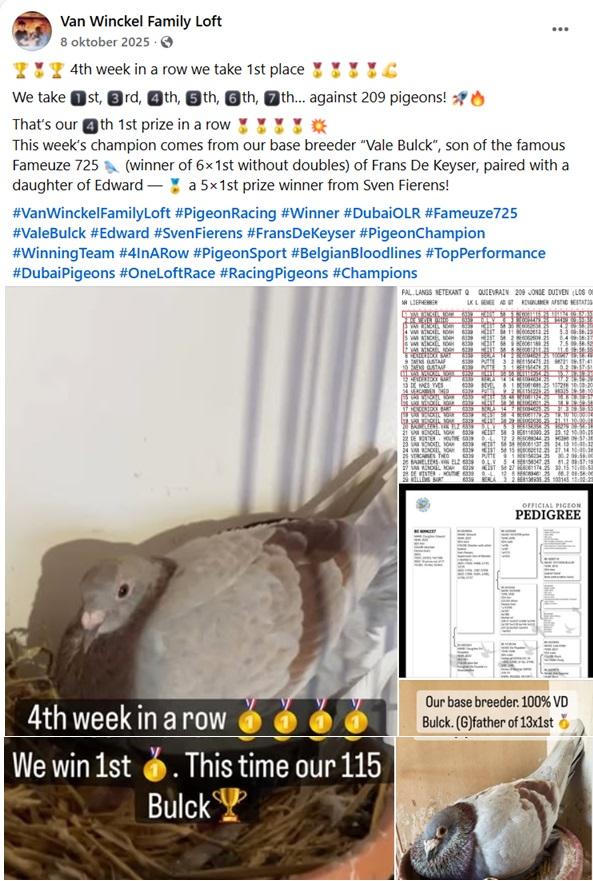 2025-10-8 FB Van Winckel Family Loft-2