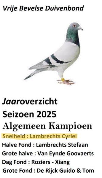 2025 BEVEL Alg Kamp
