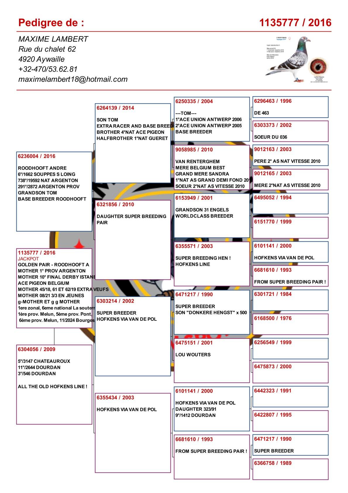 pedigree Jackpot 777 / Duif gratis bij Lot 1