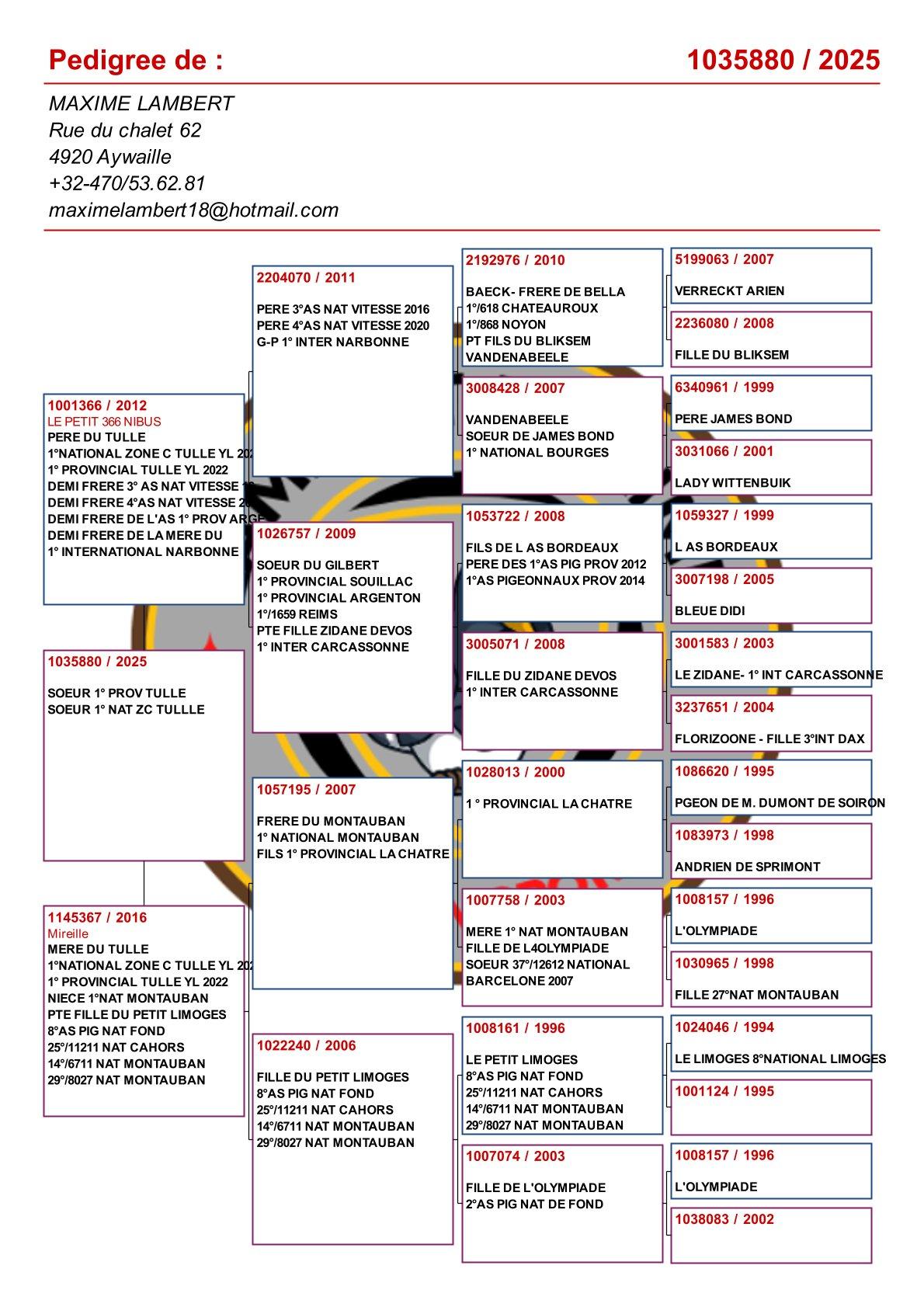 pedigree Zus "Le Tulle" : 1e Provinciaal Tulle & 1e Nat.Z.C. Tulle