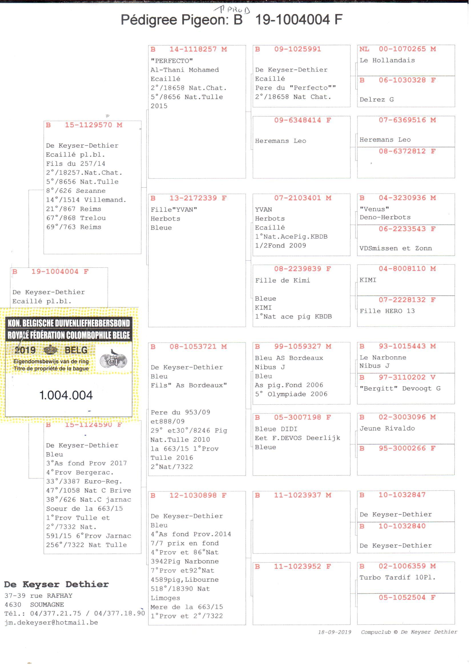 pedigree Dochter 3° Provinciaal As Fond '17 & Kleindochter 2° Nat Chateauroux 18257d.