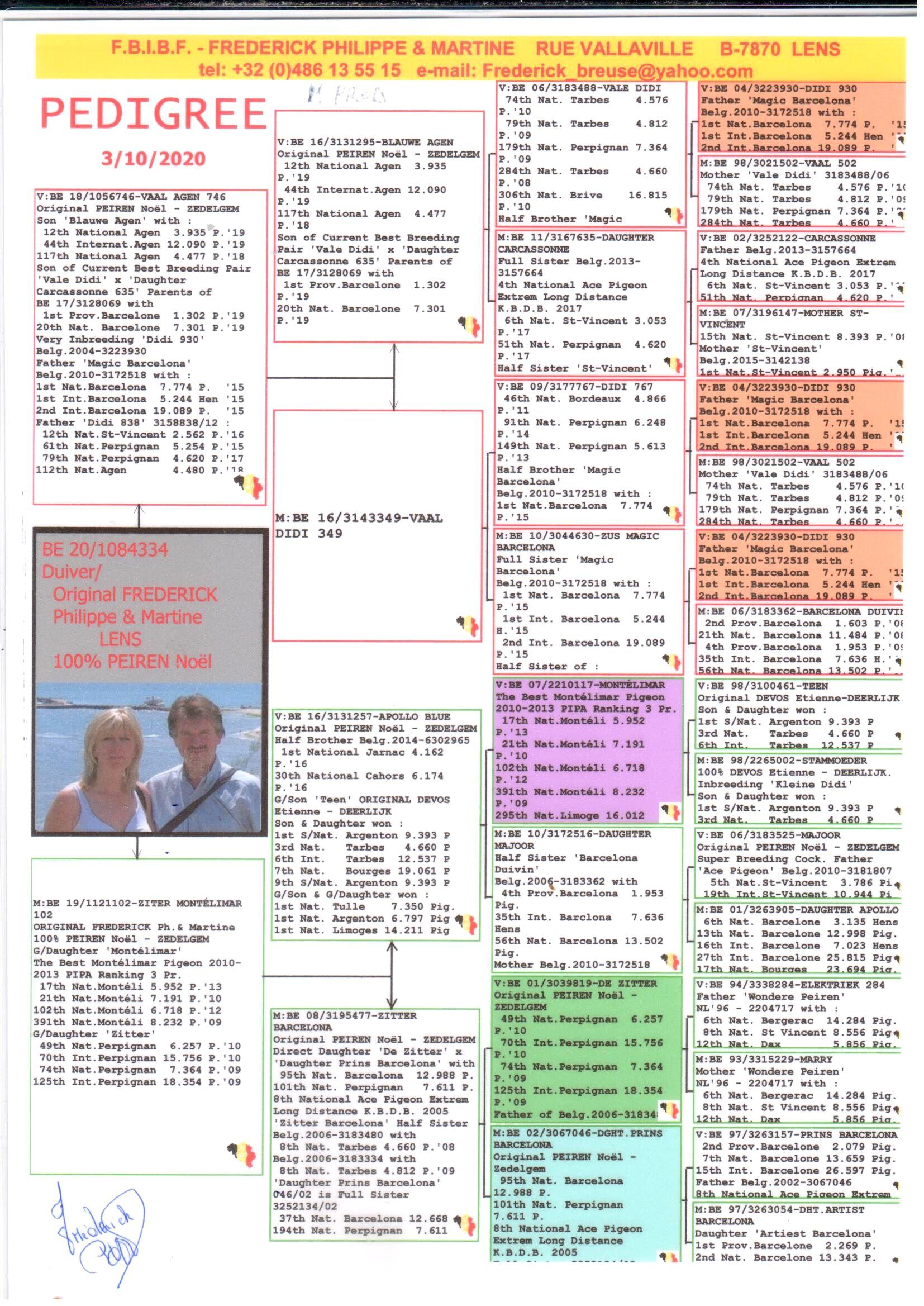 pedigree Kleinzoon Blauwe Agen (Peiren Noel) : 12° Nationaal Agen 