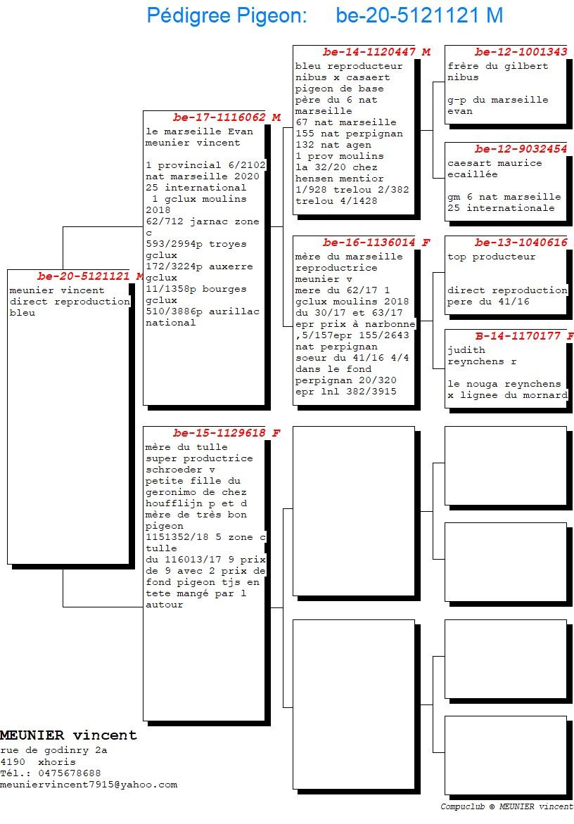 pedigree Zoon "Marseille Evan" : 6° Nat Marseille 