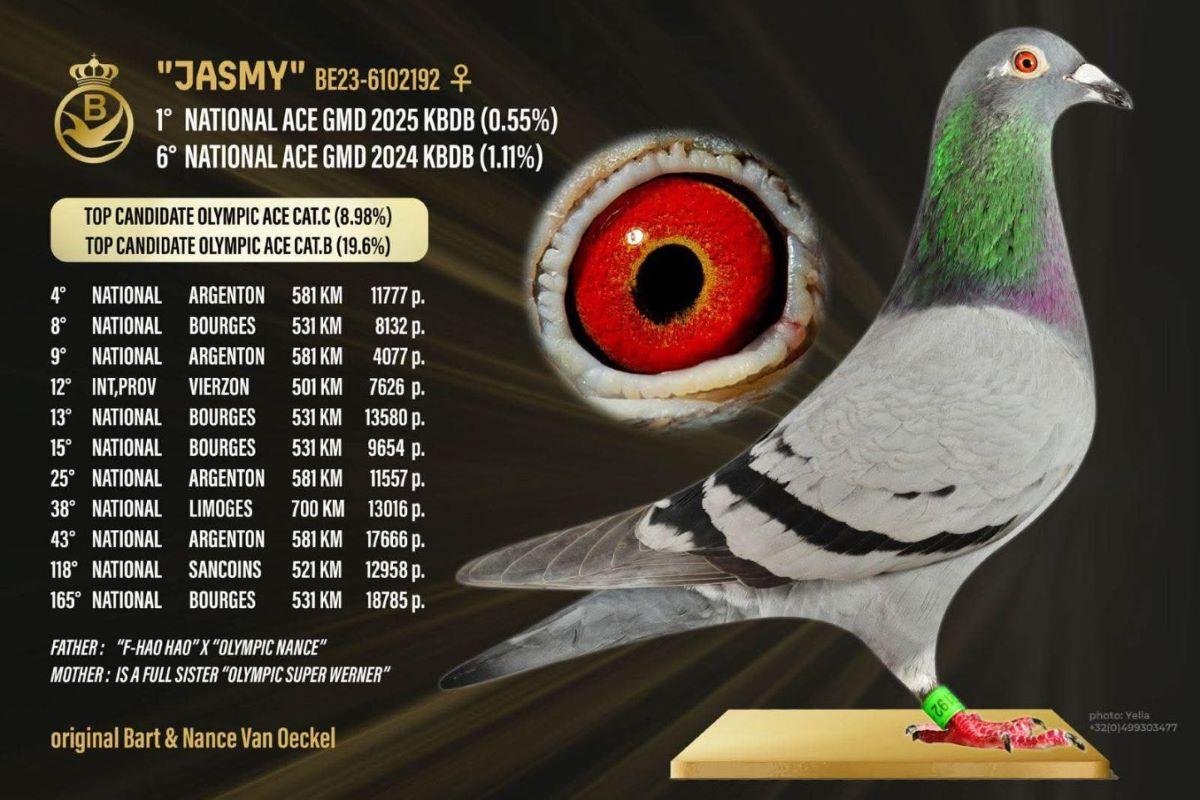 PITTS-VOeckel B&N-PITTS-BE23-6102192 'Jasmy'-Foto-1