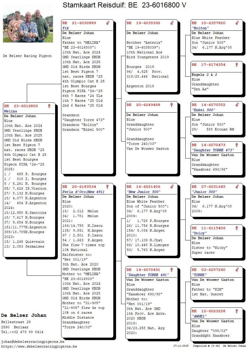 PITTS-DBelser Johan-PITTS-BE23-6016800 'Melina' -pedigree