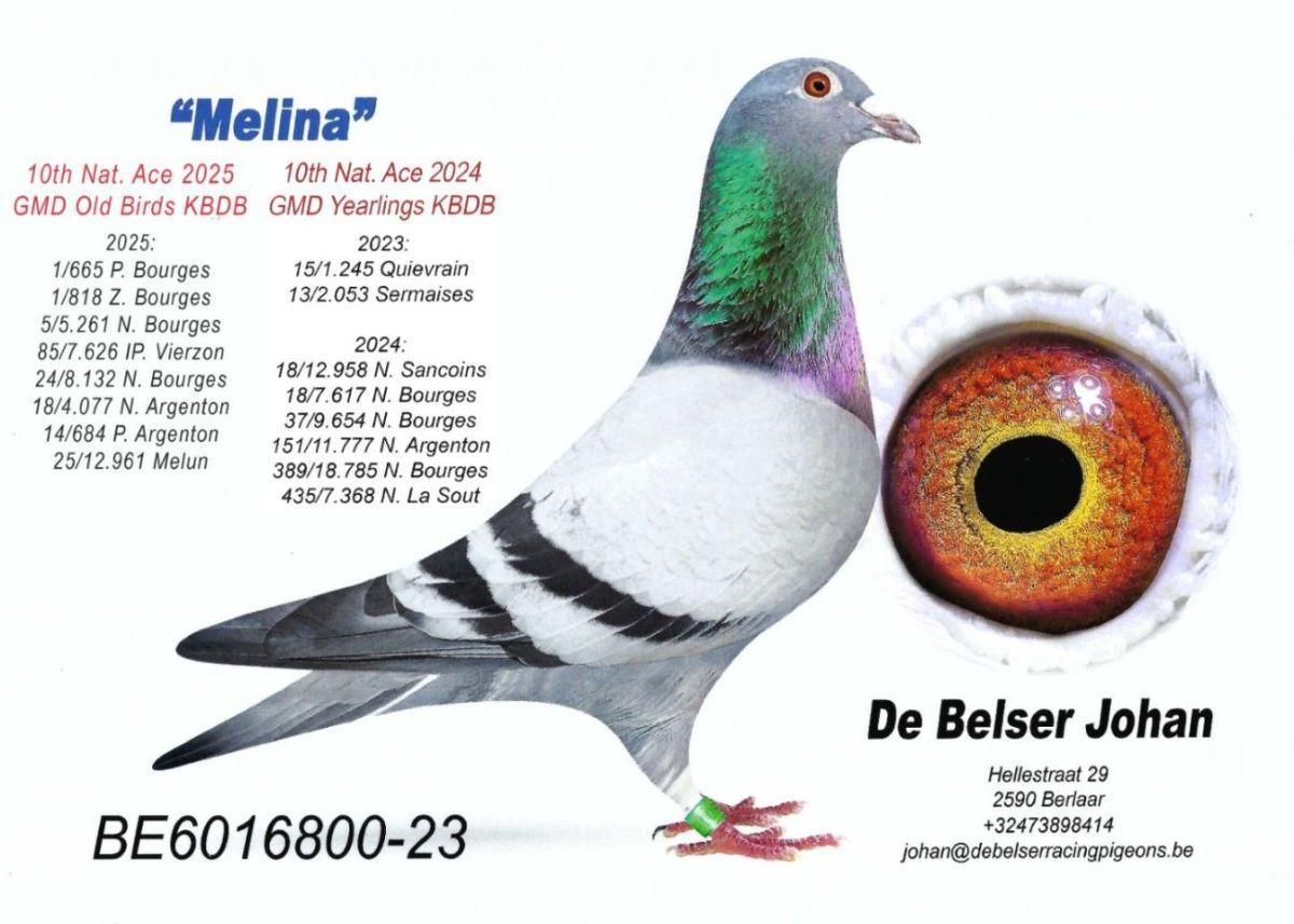 PITTS-DBelser Johan-PITTS-BE23-6016800 'Melina' -Foto-1