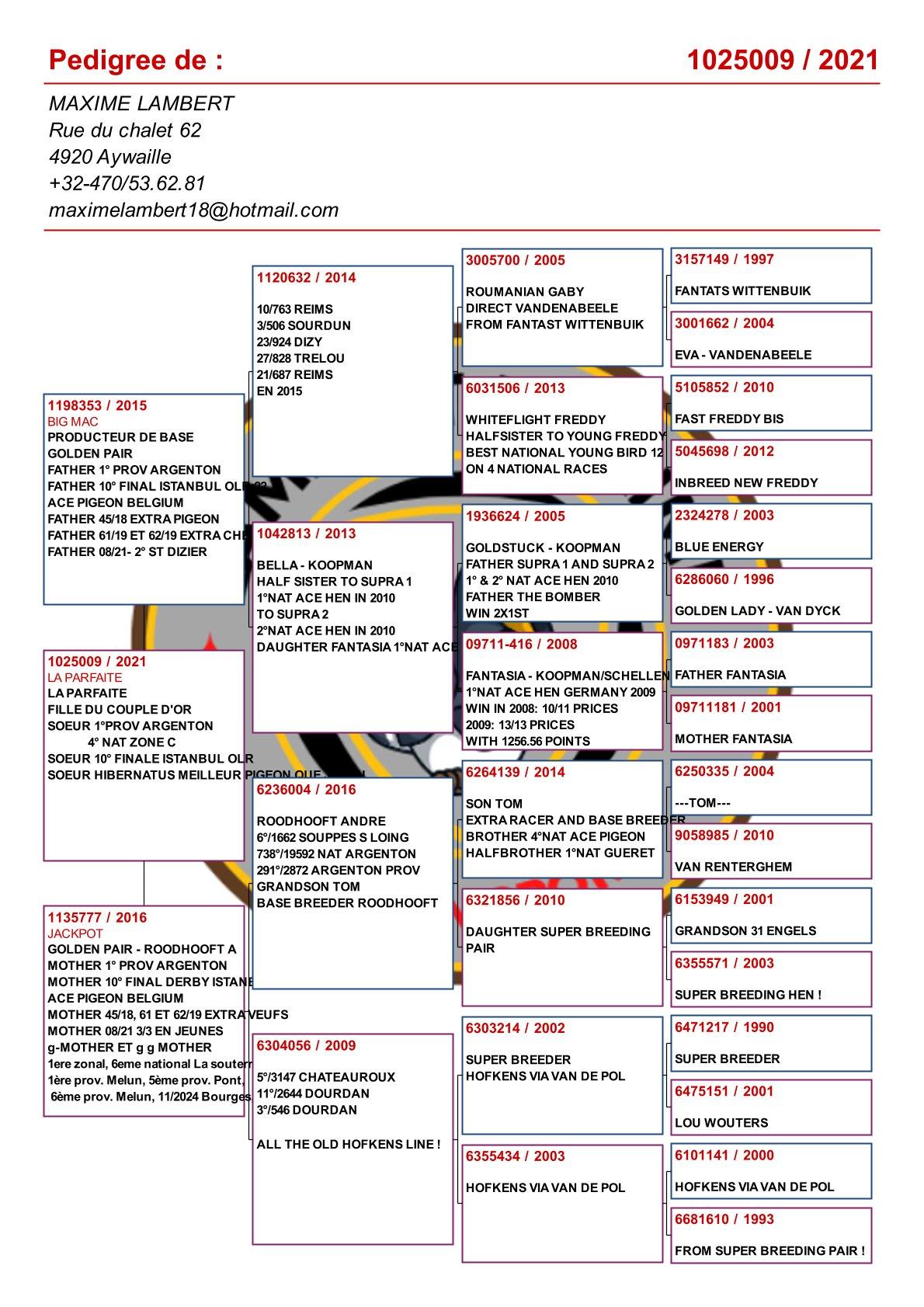 pedigree La Parfaite : Dochter uit basiskoppel Big Mac x Jackpot