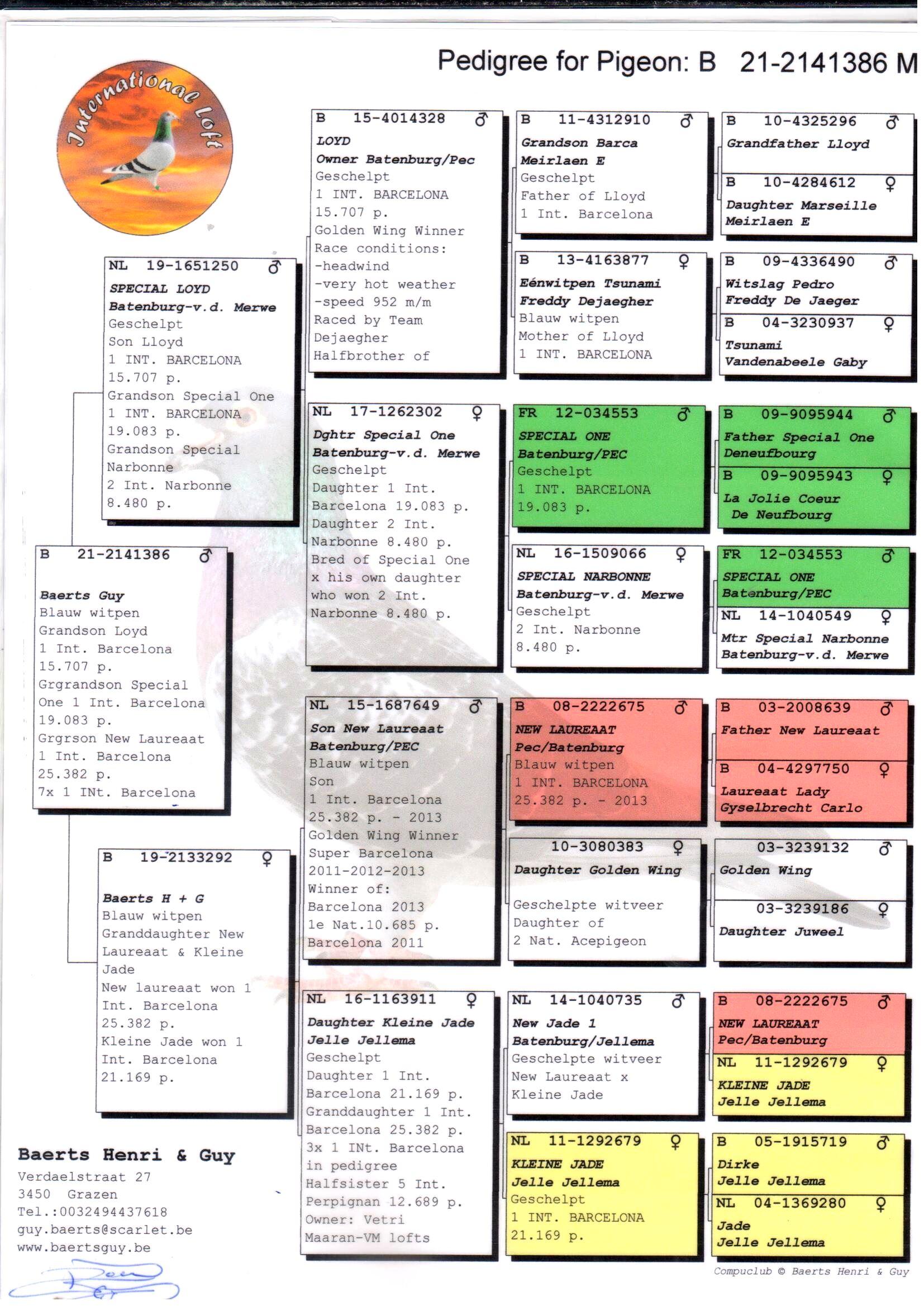 pedigree Kleinkind "Loyd" : 1e Internat. Barcelona 15707d.