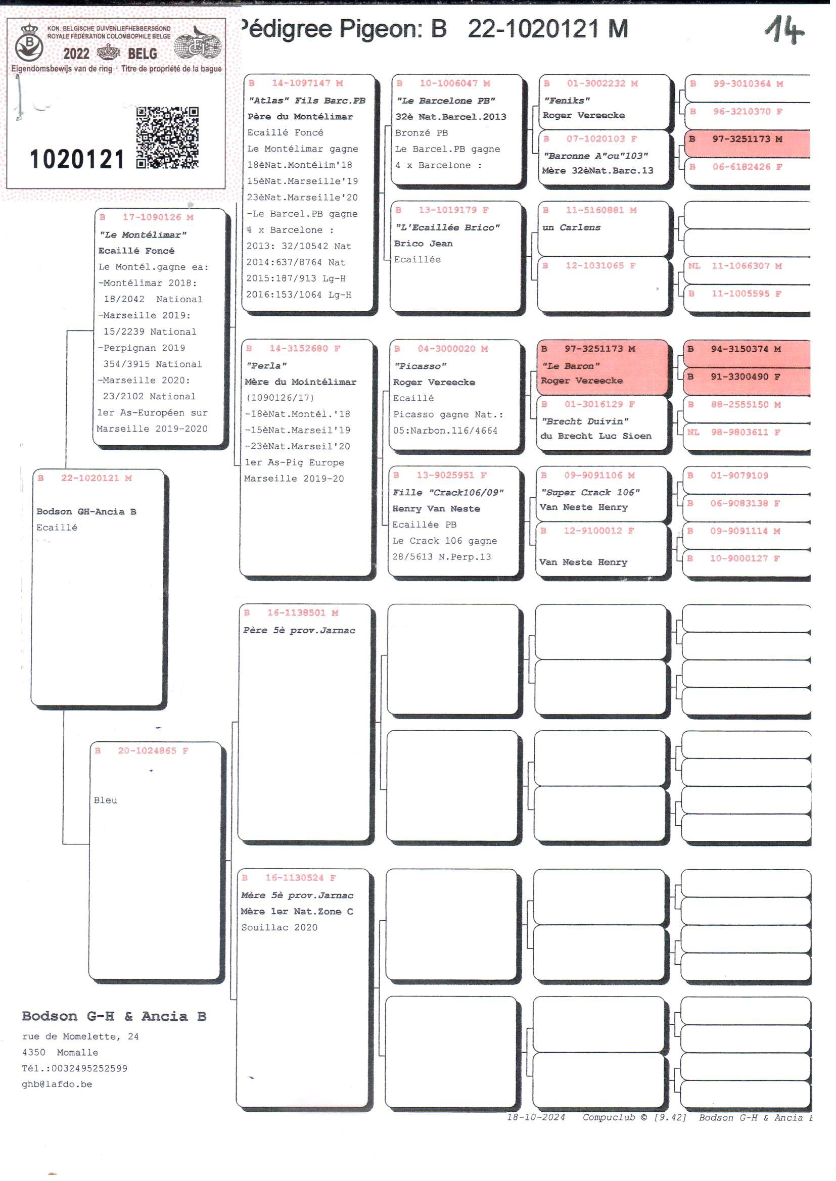 pedigree Zoon "De Montelimar": 1. Europese As Marseille '19/'20