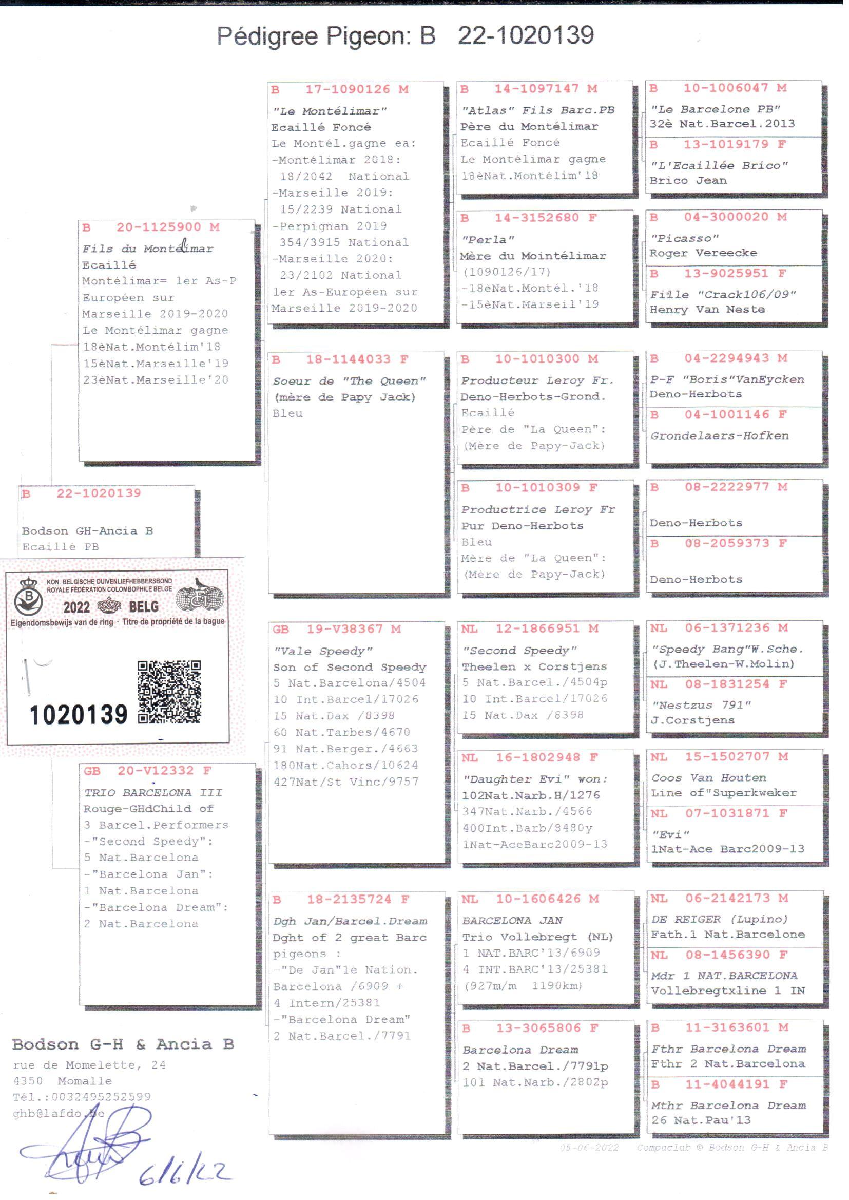 pedigree Kleindochter "De Montelimar": 1. Europese As Marseille '19/'20