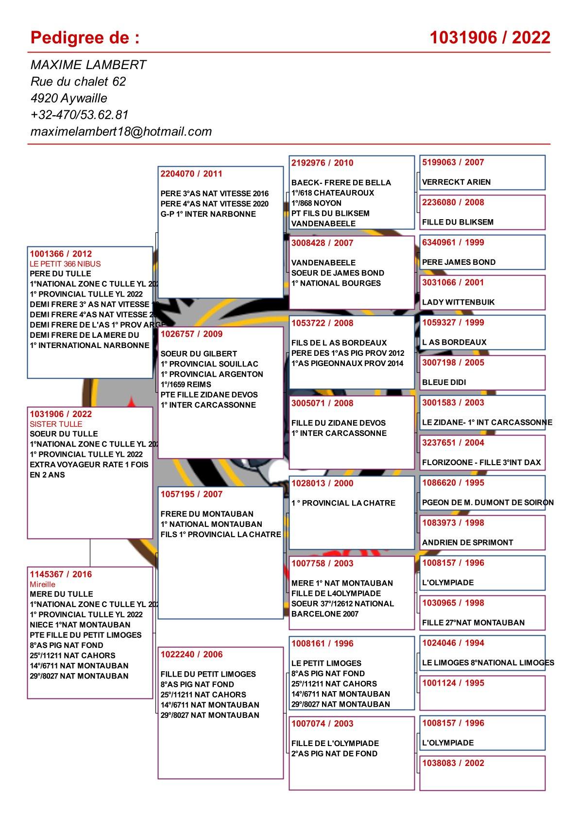 pedigree Zus "Le Tulle" : 1° Nat Z C Tulle & 1e Prov. Tulle