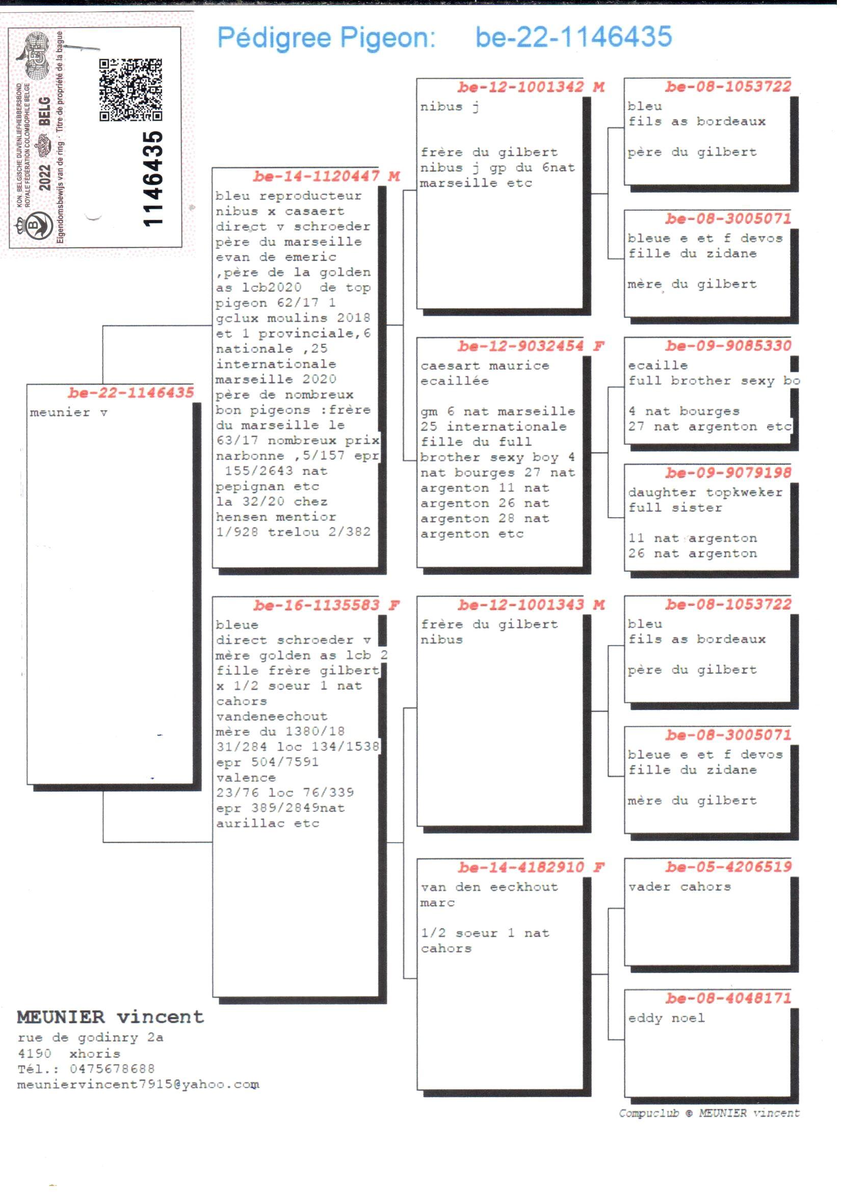 pedigree "Golden Marseille" - Halfzus "Marseille Evan" : 6e Nat. Marseille 