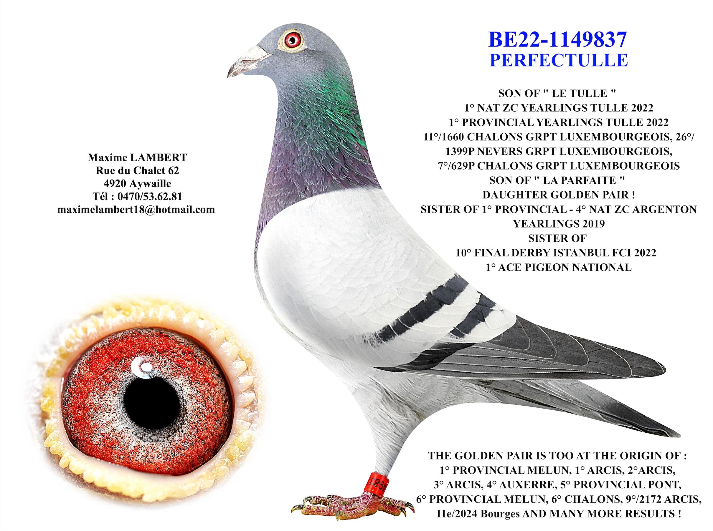 'Perfectulle' zoon "Le Tulle" :  1° Nat Z C Tulle & 1° Prov Tulle - Familie