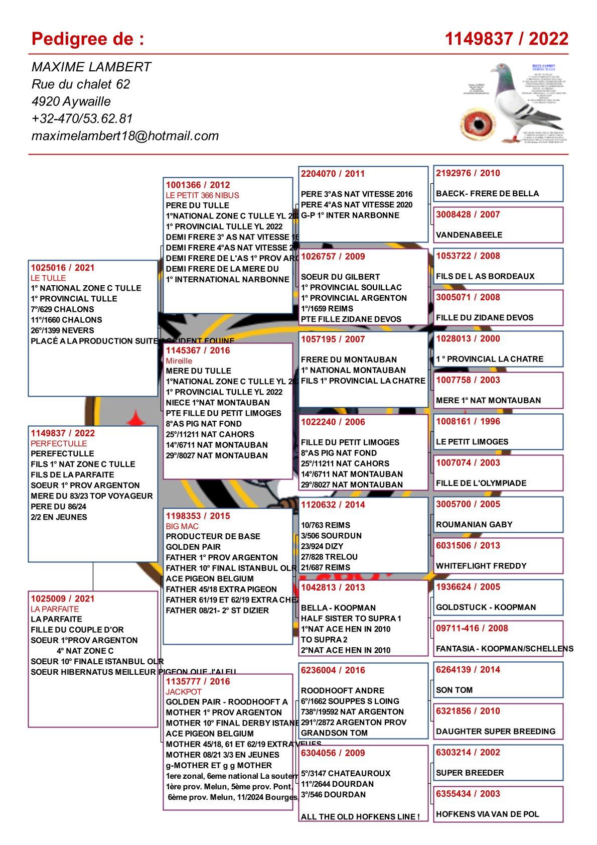 pedigree 'Perfectulle' zoon "Le Tulle" :  1° Nat Z C Tulle & 1° Prov Tulle