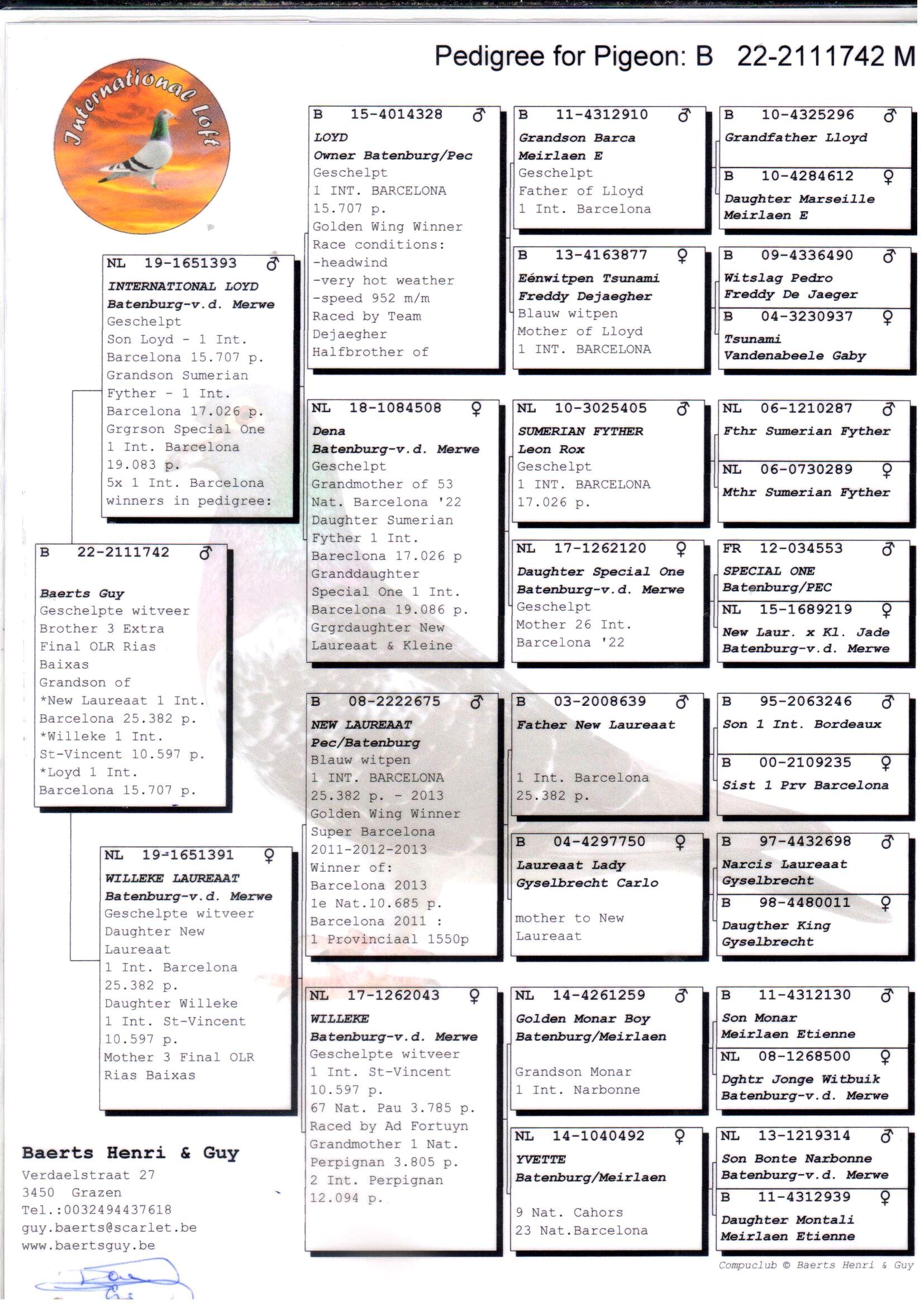 pedigree International Dream - TOPAANBIEDING! Kleinzoon 3x 1. Internat - New Laureat, Lloyd & Willeke