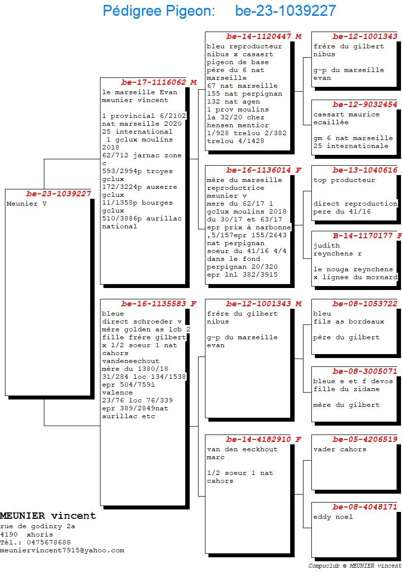 pedigree Zoon "Marseille Evan" : 6e Nat Marseille 
