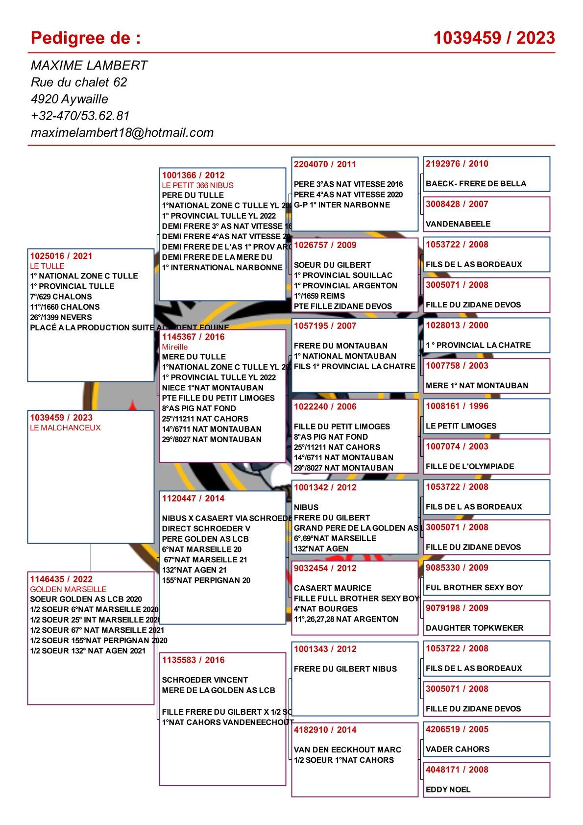 pedigree Zoon "Le Tulle" : 1e Nat Z C Tulle & 1e Prov. Tulle