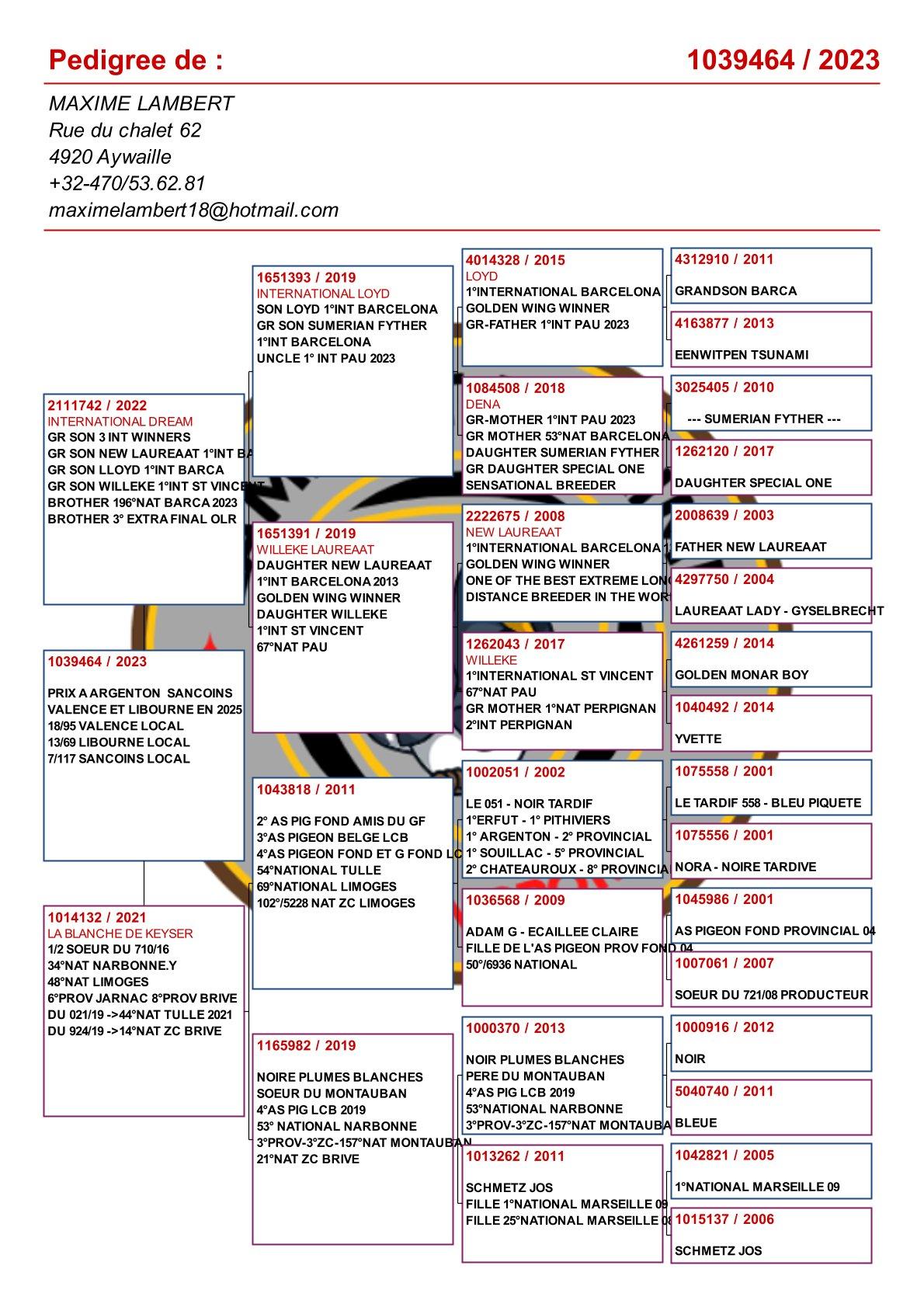 pedigree Maxime's Favourite! Zoon "International Dream" x "La Blanche"