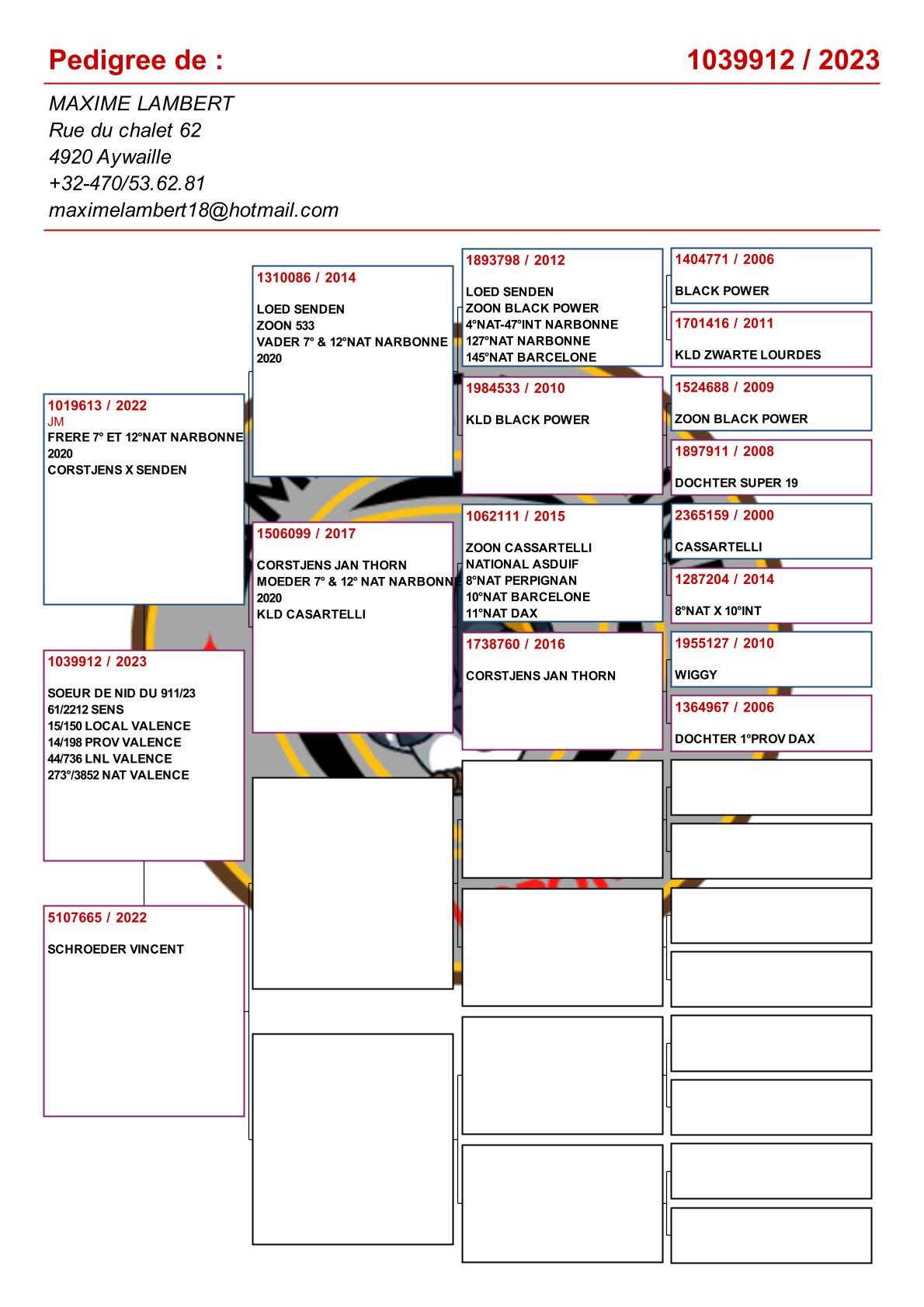 pedigree Lijn 7° & 12° Nat Narbonne