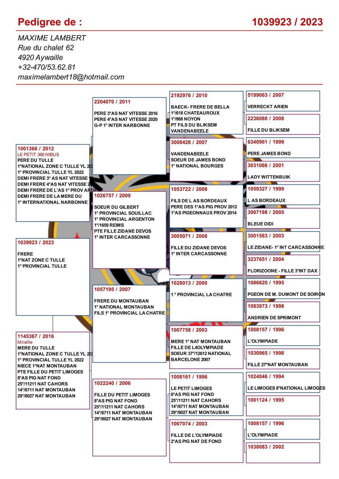 pedigree Broer "Le Tulle" : 1° Nat Z C Tulle & 1e Prov Tulle