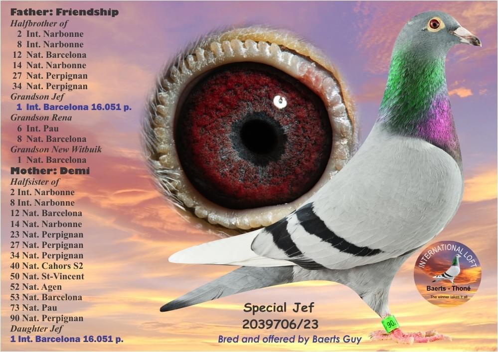 Special Jef: Inteelt “Jef” : 1° Internat Barcelona - Familie