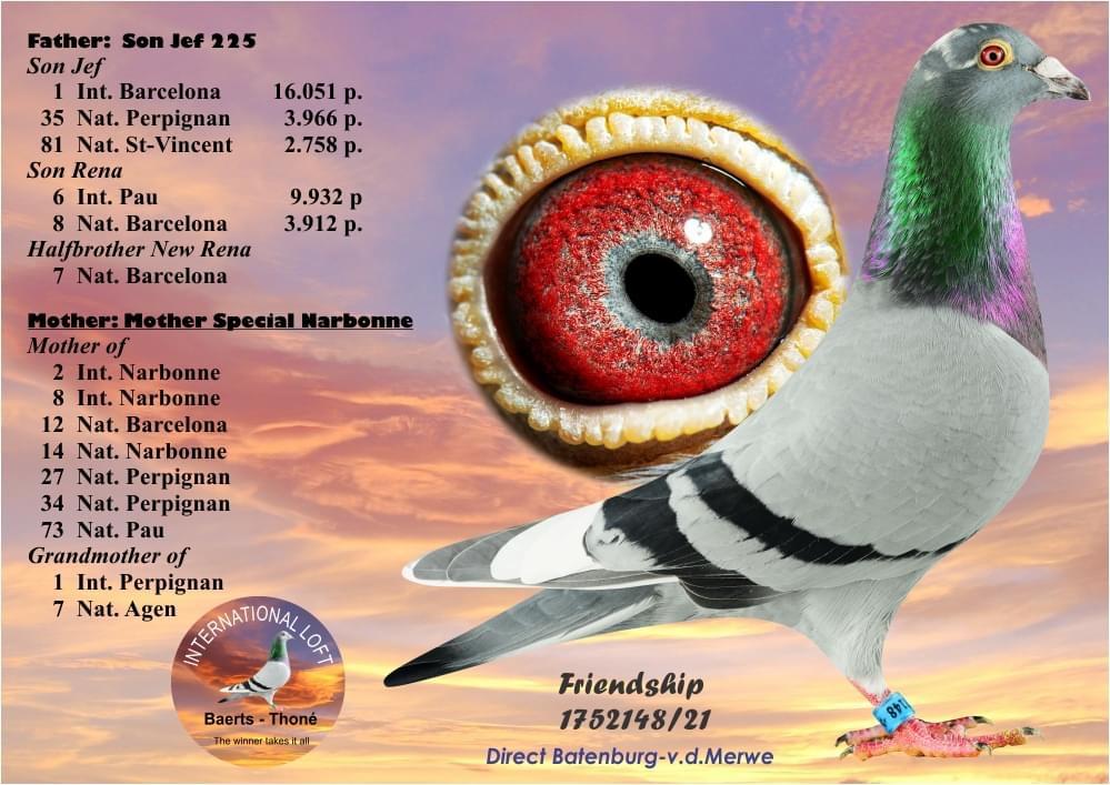 Special Jef: Inteelt “Jef” : 1° Internat Barcelona - Familie