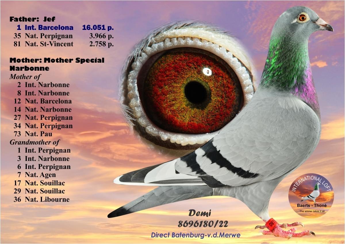 Special Jef: Inteelt “Jef” : 1° Internat Barcelona - Familie